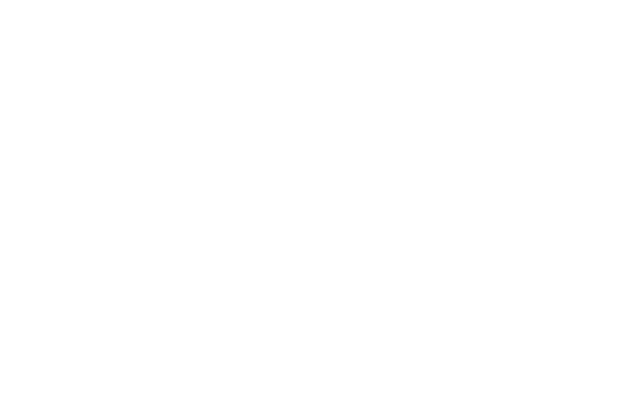 Conae Logo